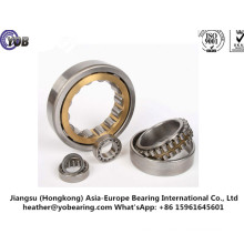 Supply Cylindrical Roller Bearing for Equipments (NU319EM)